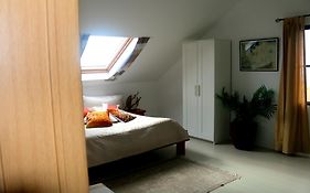 Madeira Native Motion Apartment